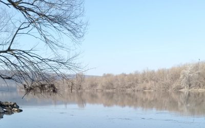 Un transport consistent de apă potabilă, însumând peste 46.000 de litri, a fost colectat în cadrul unei campanii de ajutorare a municipiilor Bălți și Soroca din Republica Moldova