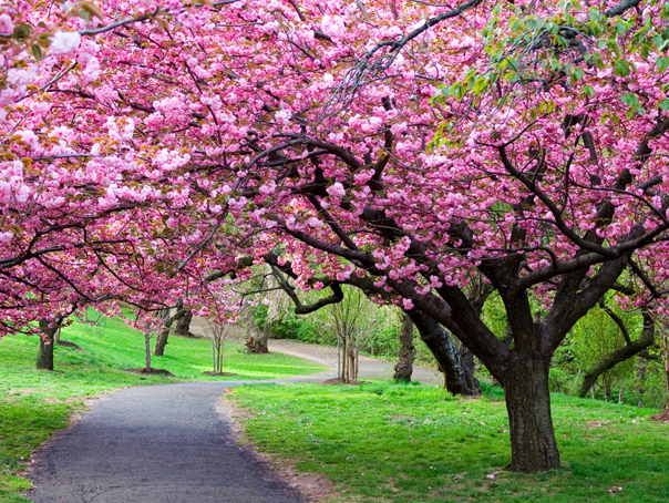 Vremea se schimbă: ANM anunță patru săptămâni mai calde și uscate în România