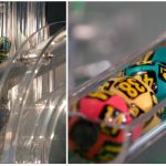 Reportul la Joker urcă spre 12,68 milioane de euro, Loto 6/49 visează 3 milioane