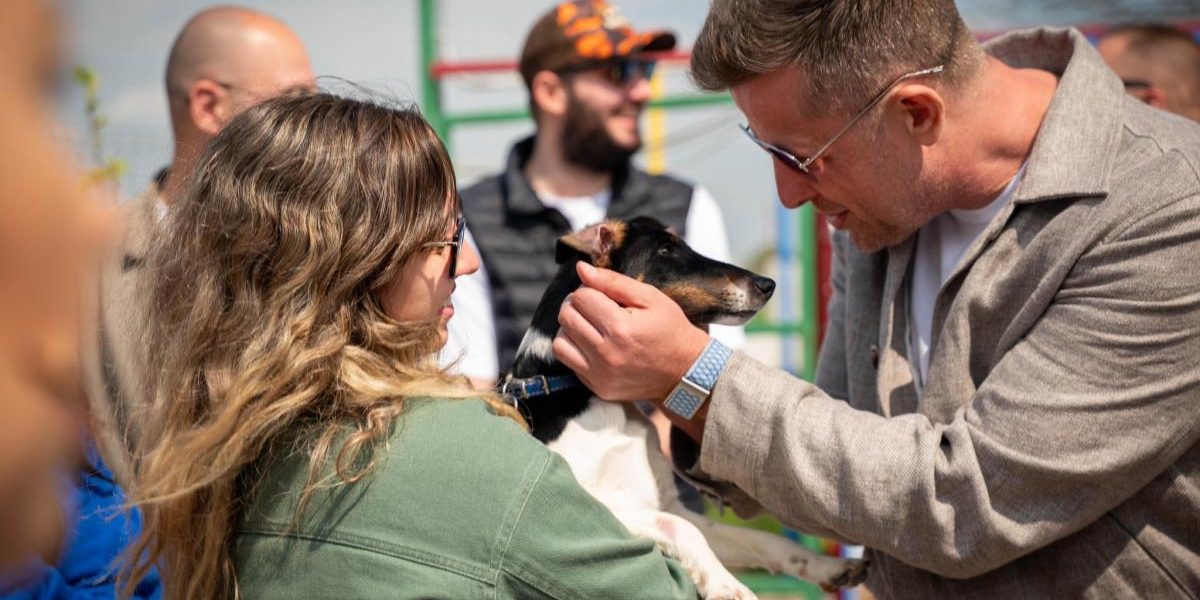 Primul centru județean de adopții canine, deschis în Ilfov: „Într-o familie!”