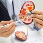 Acid uric vs. creatinină: Ce arată analizele despre rinichi