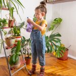 Plantele-capcană din casele românilor: Pericol ascuns pentru copii