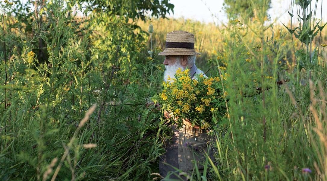 Câlția revine la Sibiu: expoziția explorează temele recurente ale artistului