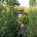 Câlția revine la Sibiu: expoziția explorează temele recurente ale artistului