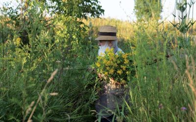 Câlția revine la Sibiu: expoziția explorează temele recurente ale artistului