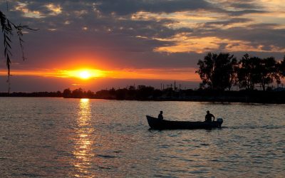 Un „studio plutitor” aduce arta tinerilor din Marea Britanie