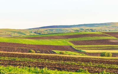 Arenda 2026: Ce drepturi și obligații au arendașii și arendătorii?