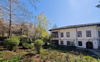 Muzeul Theodor Pallady, redeschidere spectaculoasă: concept expozițional reînnoit