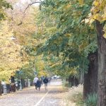 Declic cere: Parcul Donald Trump, rebotezat Maria Cuțarida-Crătunescu, pentru comunitate!