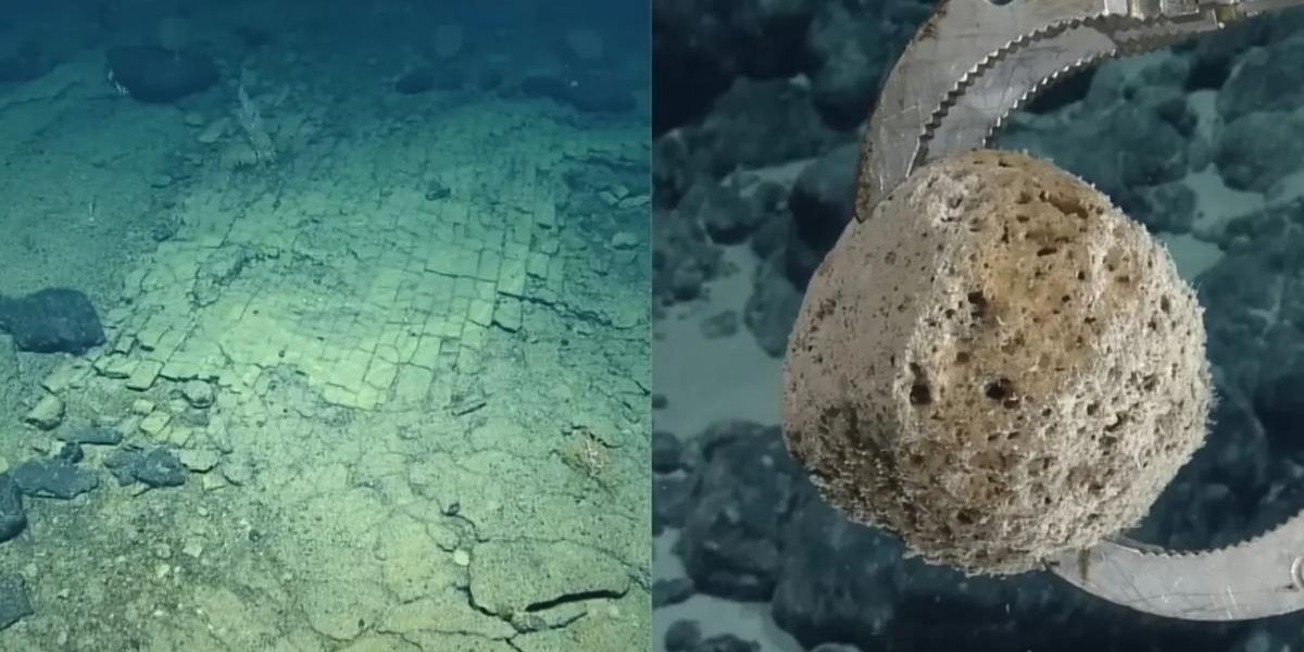 Mister pe fundul Oceanului Pacific: Oamenii de știință au găsit „drumul” ascuns