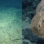 Mister pe fundul Oceanului Pacific: Oamenii de știință au găsit „drumul” ascuns