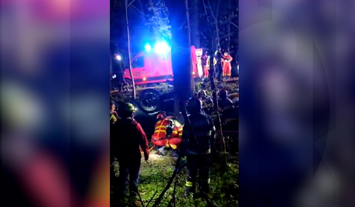 Mihai și David, morți la 20 de ani în pădurea Snagov: „Erau băieți cuminți”