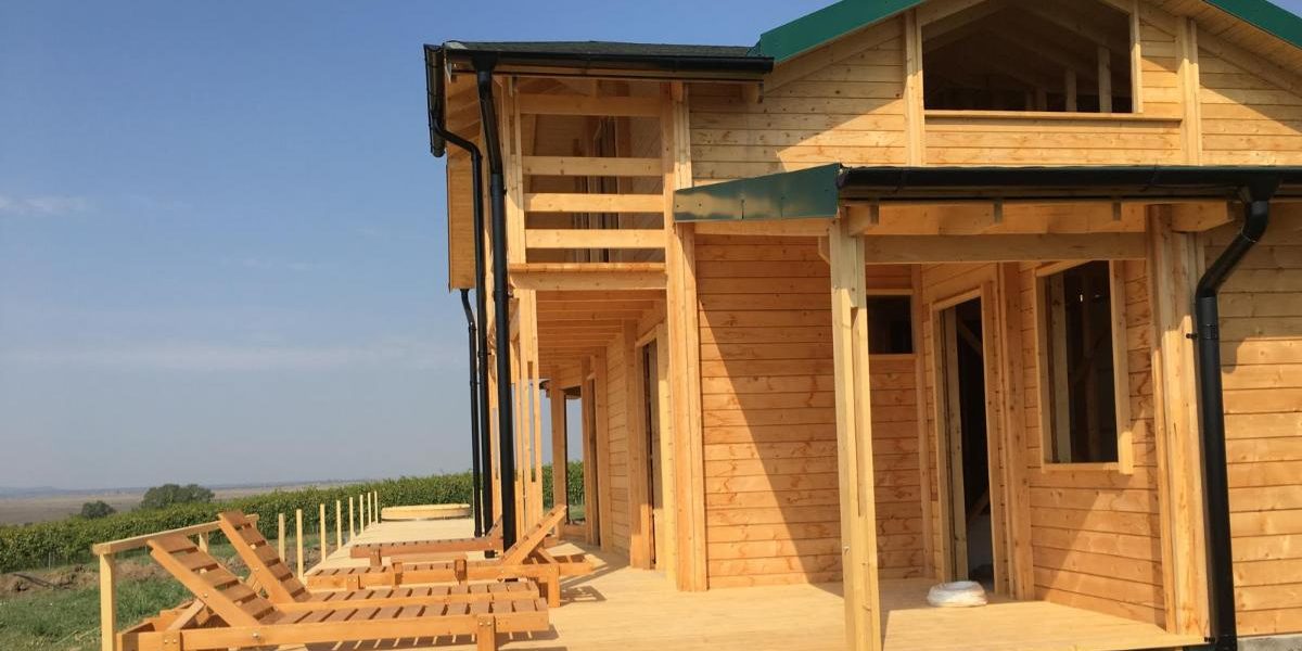 Incendiul a mistuit casa poetului Mircea Dinescu Arde din temelii