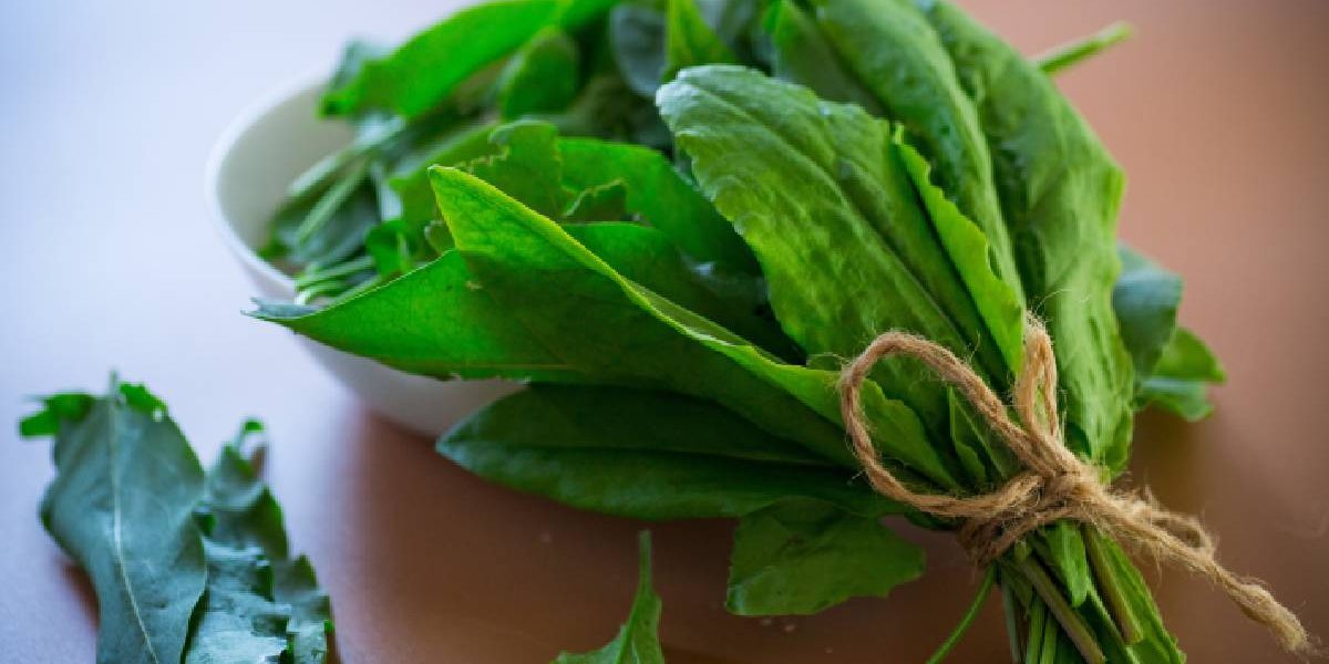 Verdețurile scad tensiunea: Un studiu face lumină, ce spun specialiștii