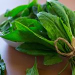 Verdețurile scad tensiunea: Un studiu face lumină, ce spun specialiștii