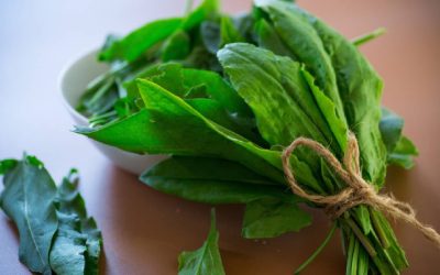 Verdețurile scad tensiunea: Un studiu face lumină, ce spun specialiștii