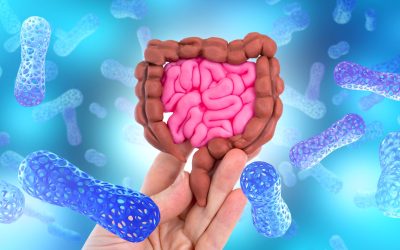 Proteina intelectină-2 devine o armă în lupta împotriva bacteriilor din intestin O descoperire recentă relevă faptul că proteina intelectină-2, prezentă în intestin, joacă un rol crucial în protejarea organismului împotriva răspândirii bacteriilor periculoase