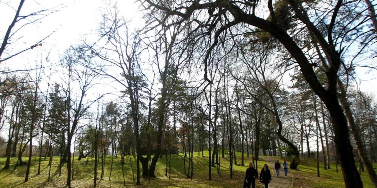 ANM: Vreme excelentă de 1 Mai în România – ce spun meteorologii