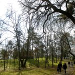 ANM: Vreme excelentă de 1 Mai în România – ce spun meteorologii