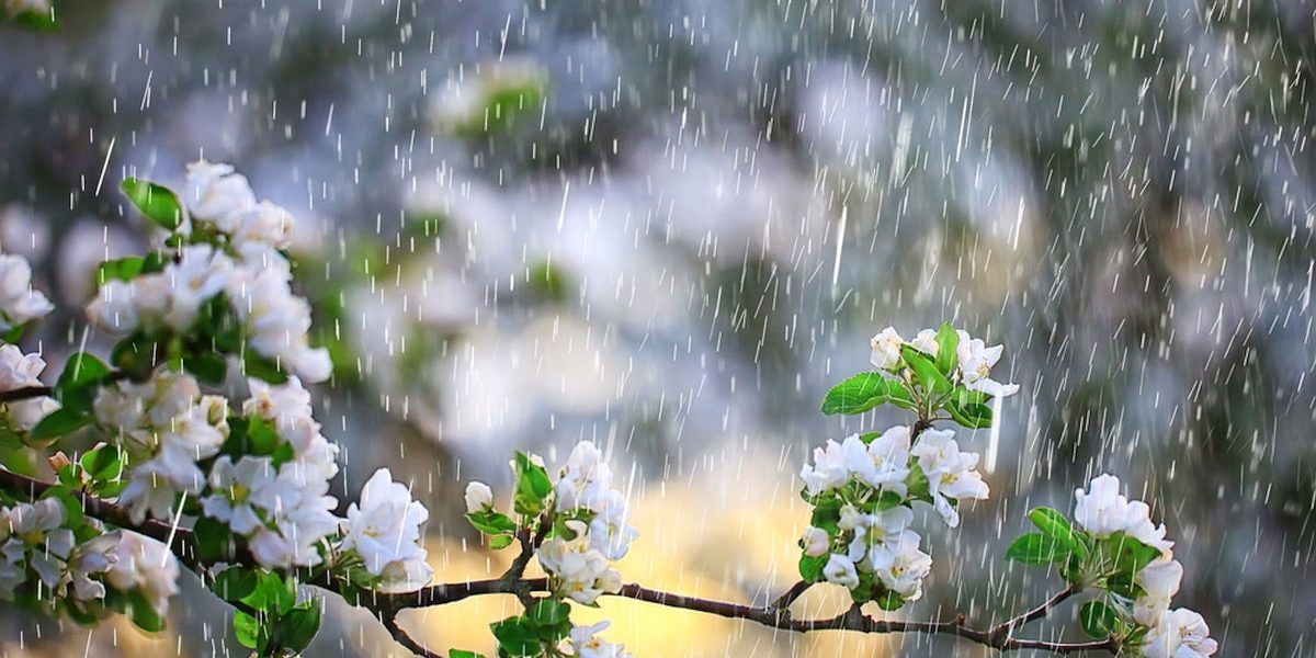 Vremea de 1 Mai: Ploi și frig în majoritatea zonelor din România