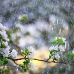 Vremea de 1 Mai: Ploi și frig în majoritatea zonelor din România