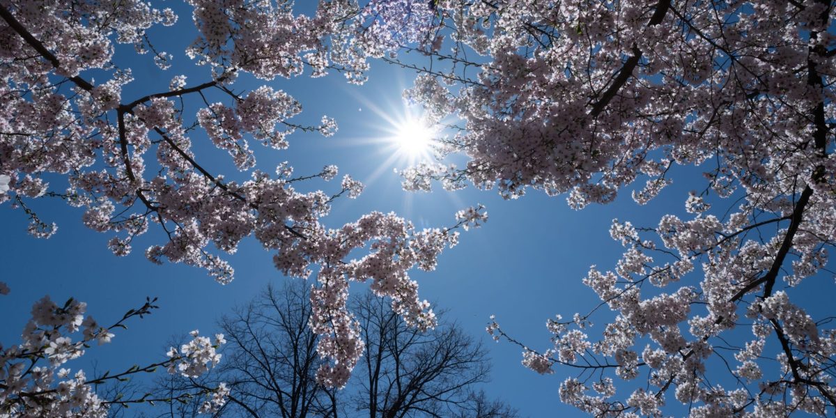 Meteo: Cum va fi vremea de 1 Mai? Avertisment pentru România!