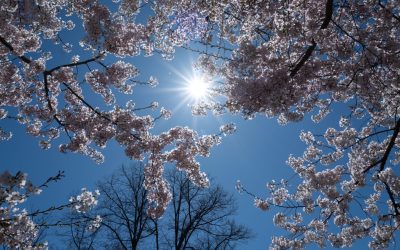 ANM avertizează: Cât de cald va fi și unde plouă în România?