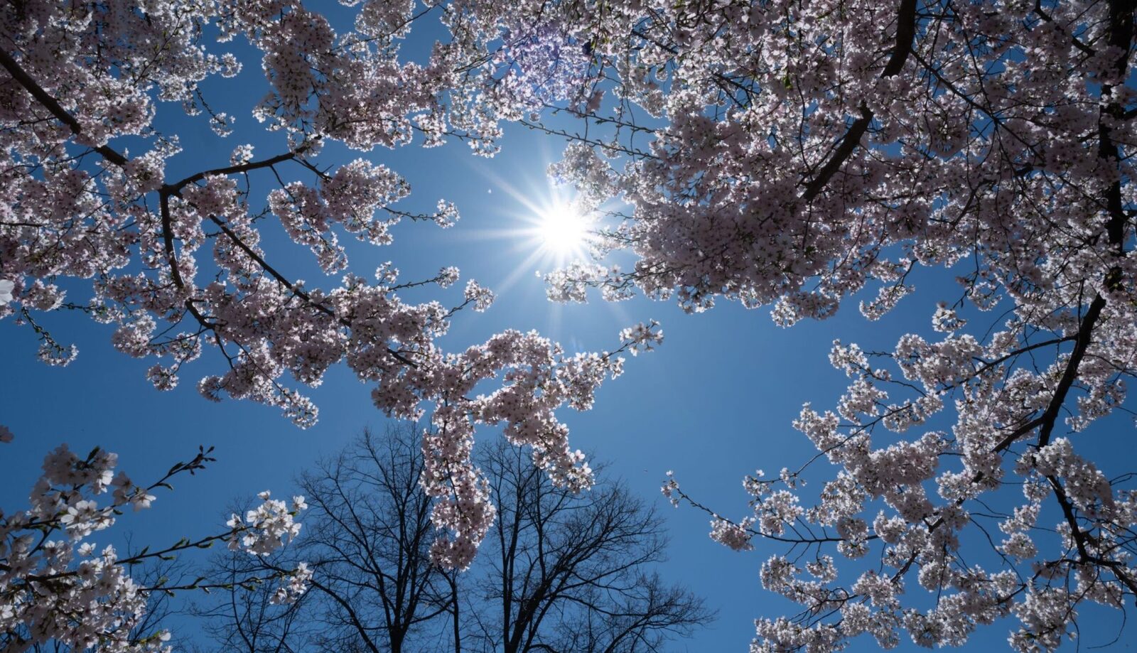 Meteo: Cum va fi vremea de 1 Mai? Avertisment pentru România!