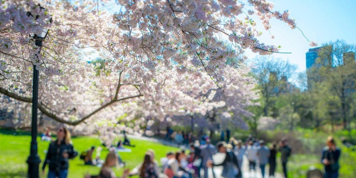 Vremea se încălzește în România: Prognoza meteo pentru următoarele 4 săptămâni