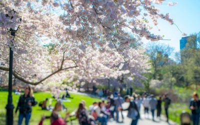 Vremea se încălzește în România: Prognoza meteo pentru următoarele 4 săptămâni