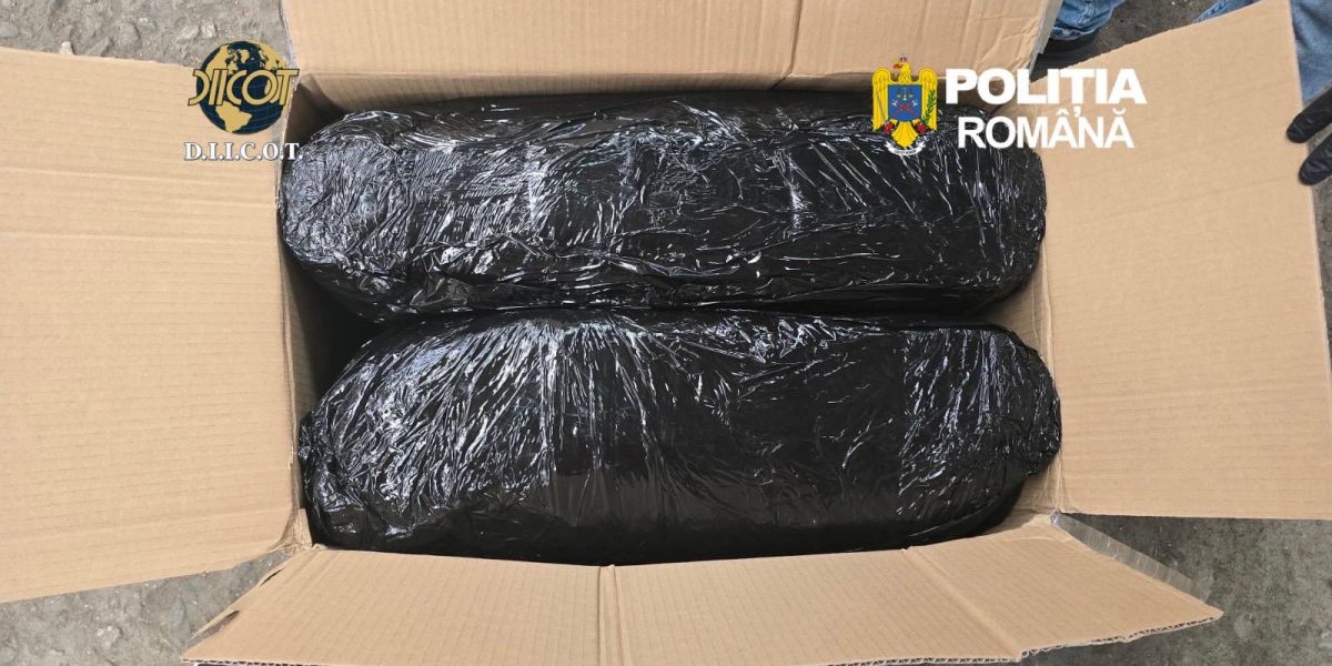 Marfă de 13 kg de canabis, confiscată la Târgu Mureș: Doi bărbați, arestați după transportul din Spania