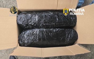 Marfă de 13 kg de canabis, confiscată la Târgu Mureș: Doi bărbați, arestați după transportul din Spania