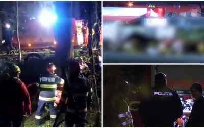 Paște tragic la Snagov: Doi tineri, morți după ce s-au izbit de un copac