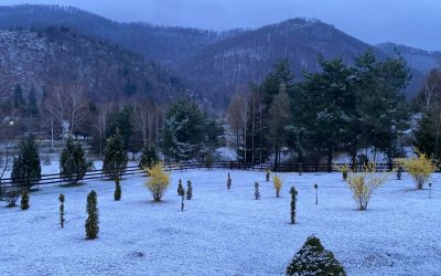 Zăpadă de Paște în Bihor: Miezul lui aprilie aduce ninsoare pe munți