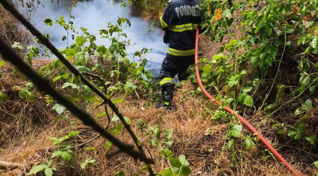Incendiul din Caraș-Severin: Un nou focar mistuie pădurea!