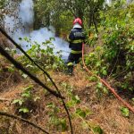 Incendiul din Caraș-Severin: Un nou focar mistuie pădurea!
