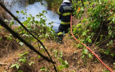 Incendiul din Caraș-Severin: Un nou focar mistuie pădurea!