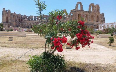 Tunisia, jurnal de călătorie: prin cenușa imperiilor, în deșert