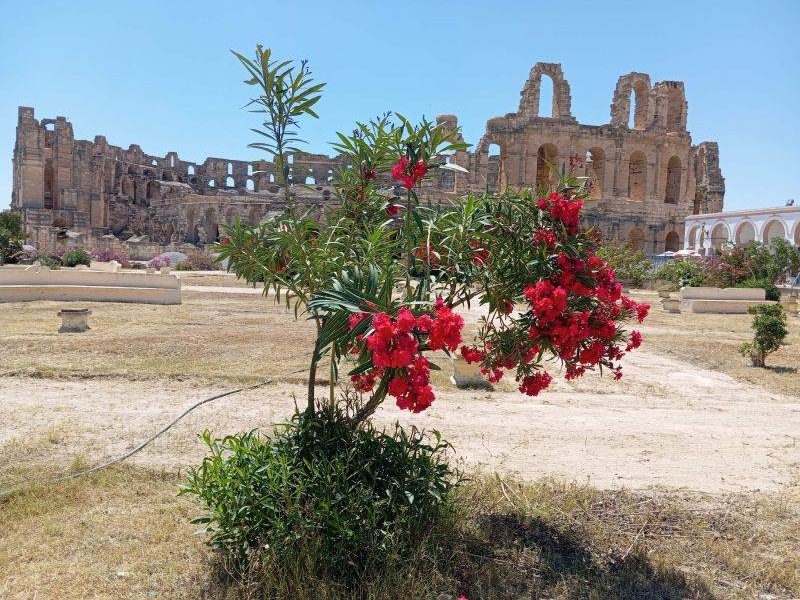 Tunisia, jurnal de călătorie: prin cenușa imperiilor, în deșert