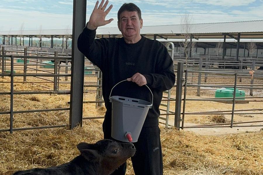 Oprea investește 5 milioane € în ferma lui Nețoiu: Black Angus de lux