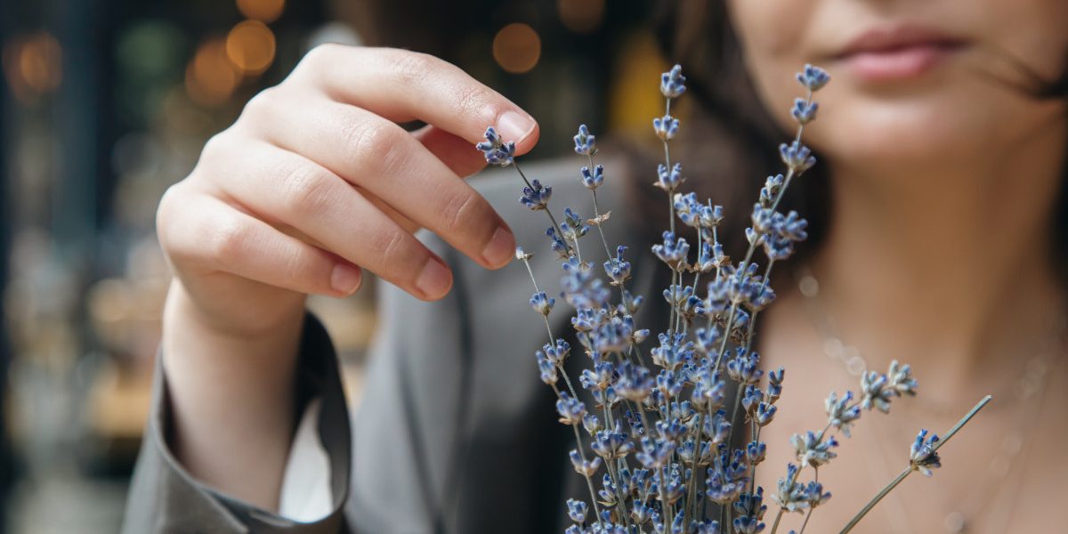 Lavanda, de la planta decorativă la ingredientul vedetă în prăjituri și cosmetice