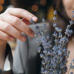 Lavanda, de la planta decorativă la ingredientul vedetă în prăjituri și cosmetice