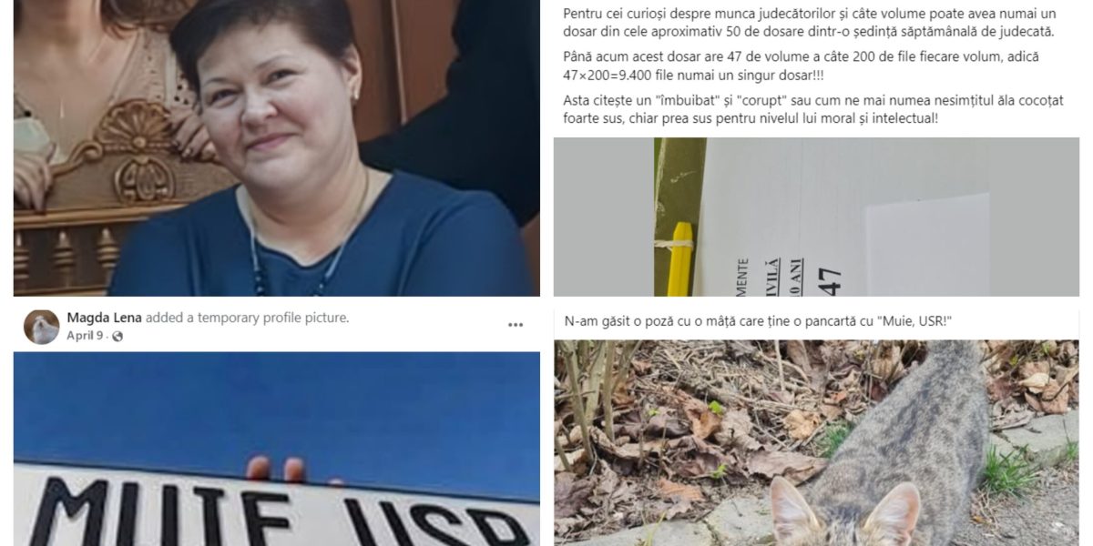 Judecătoare de Apel, atac virulent la Bolojan: „Nesimțitul ăla” și „Muie USR”