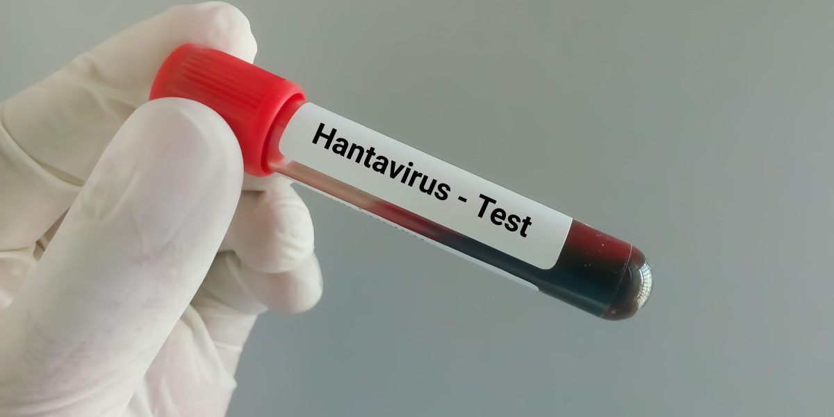Hantavirusul ucide pe o navă de croazieră: Adevărul despre riscurile din România