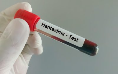 Hantavirusul ucide pe o navă de croazieră: Adevărul despre riscurile din România