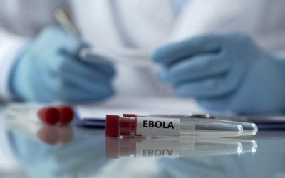 Ebola, pericol în Europa: Avertismentul OMS și riscul unei răspândiri, fără granițe