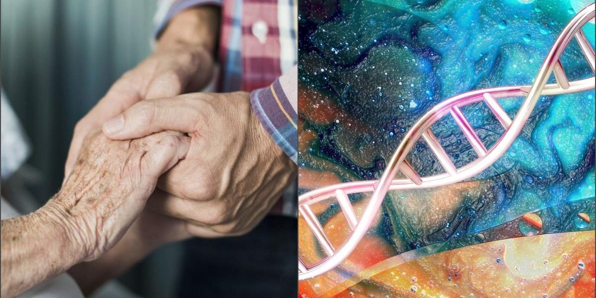 Corpul uman, lovit de vârstă: Când începe declinul, spun oamenii de știință