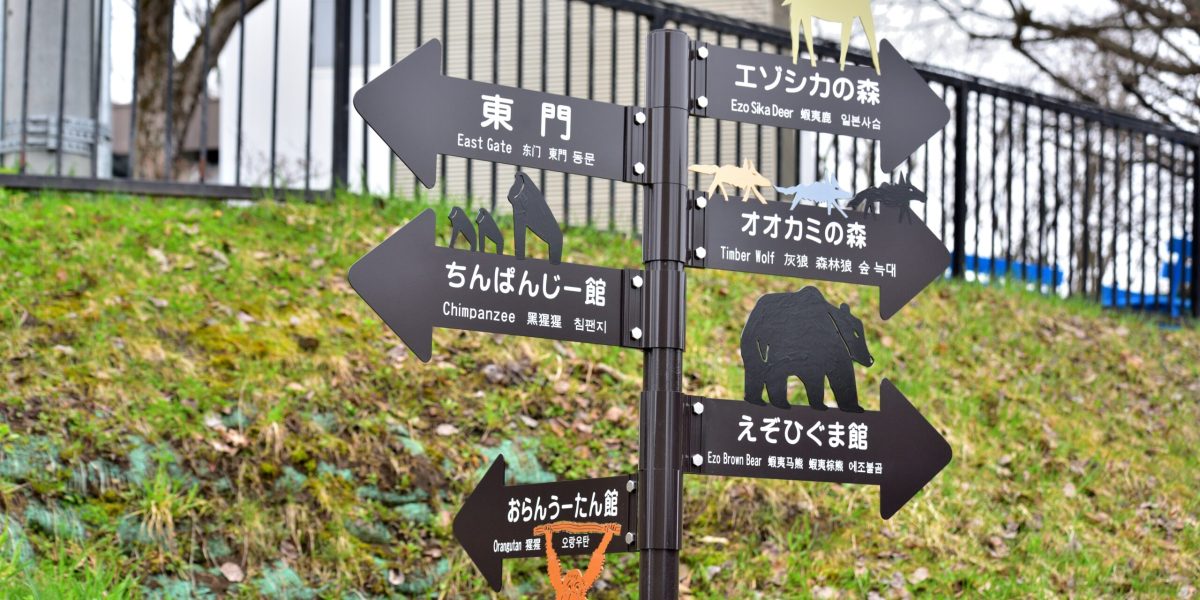 Japonez și-a ucis soția, apoi a incinerat-o la grădina zoologică