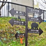 Japonez și-a ucis soția, apoi a incinerat-o la grădina zoologică