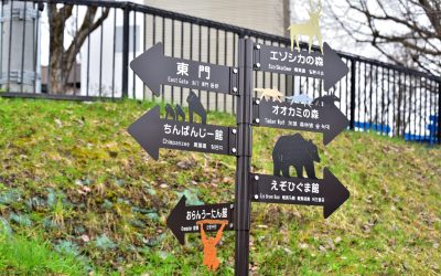 Japonez și-a ucis soția, apoi a incinerat-o la grădina zoologică